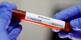 Ivermectin koronavirüs tedavisinde kullanılacak mı?