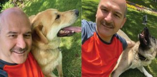 Bakan Soylu köpekleriyle fotoğrafını paylaştı