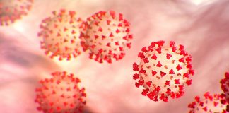 DSÖ Kovid-19’un yeni merkez üslerini açıkladı