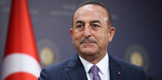 Bakan Çavuşoğlu yurt dışındaki Türklerle ilgili bilgi verdi