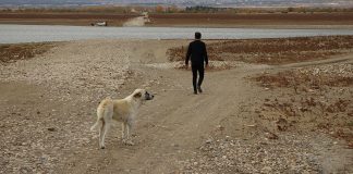 Belediye Başkanı kuraklığın boyutunu böyle özetledi: Son 3 ayda bir damla yağış düşmedi