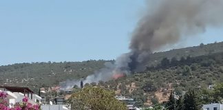 Bodrum’da yangın: Kriz masası oluşturduk!