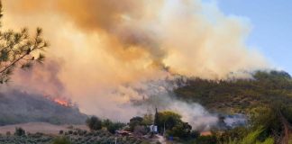 Bakan açıkladı: Kapasiteyi artırdık