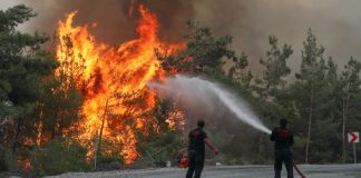 Yangınlar kontrol altına alındı