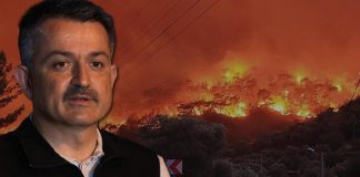 Bakan duyurdu: Tamamı söndürüldü