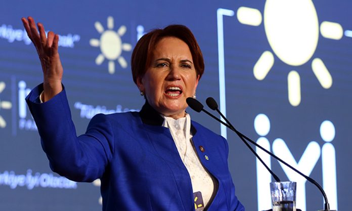 meral-aksener-iyi-kesit