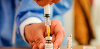 Dünya bunu konuşuyor! Koronavirüsü tespit ediyor