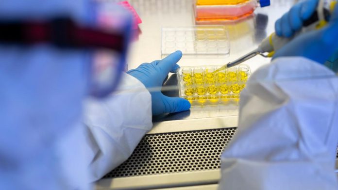 testlaboratuvar-1476074