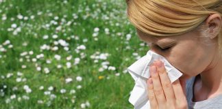 İklim değişikliği, alerjinin şiddetini ve görülme sıklığını artırıyor