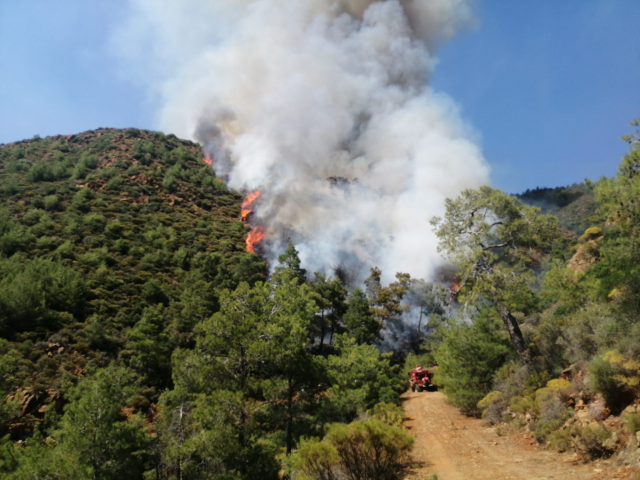 marmaris-te-cikan-orman-yangini-atese-verilen-16060330_5292_m (1)