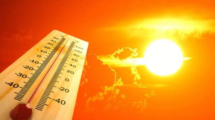 WhatsApp-Image-2023-07-26-at-10.29.45