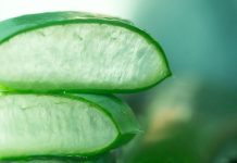 Aloe vera hangi hastalıklara iyi gelir ?