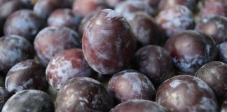 Bu besinler vücuttan toksinleri atıyor!