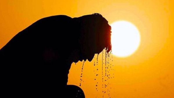 bu-yaz-vakalar-artti-afrika-sicaklari-bu-hastaligi-tetikledi-h1692478094-04344f