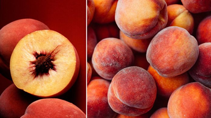 resized_6eace-728c3e43366