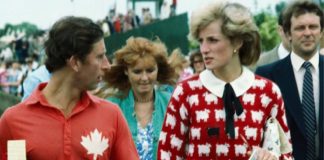 Diana’nın ünlü kazağı açık artırmada satıldı!