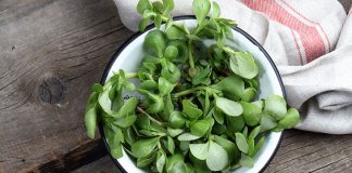 Tam bir mineral ve vitamin deposu! Faydaları inanılmaz