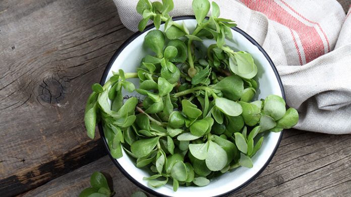 kinoali-ve-cevizli-semizotu-salatasi_1164_1