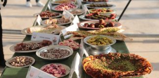 Şanlıurfa’da fıstık hasadı!