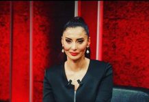 Hande Fırat Yazdı: Terörle mücadelenin komşular boyutu