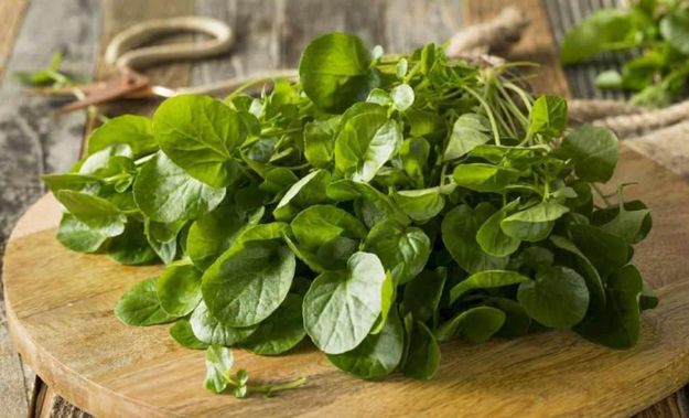 3329016_ca4c12a1f0c61fcbb0741144decd2bef