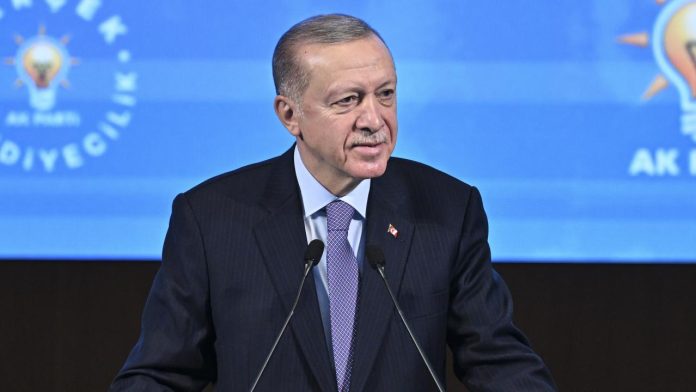 erdogan-2178315 (1)
