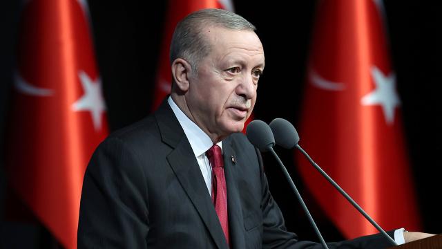 erdogan-2189616_2 (2)