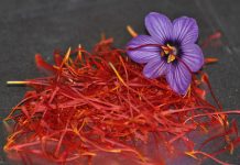 İşte Safranın inanılmaz faydaları!