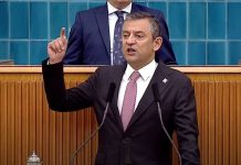 Özel: Kısırlaştırılma kampanyası başlatılmalı!