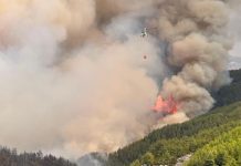 Yangınla mücadelede yapay zeka dönemi!