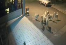 Başıboş köpeklere yönelik kanun teklifi görüşmelerinde ötenazi kelimesi çıkarıldı!