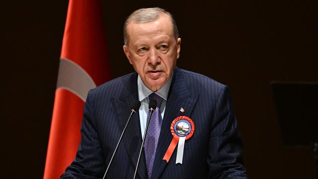 erdogan-2255756_2