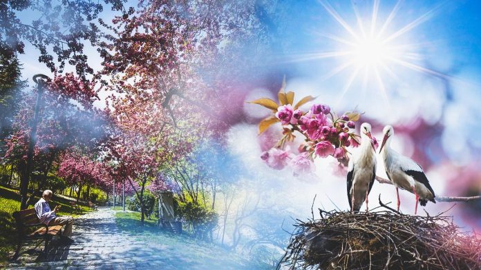 hava-durumu-bahar-trt-haber-1832268