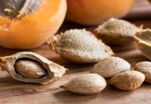 Kayısı çekirdeğinin mucizevi faydaları!