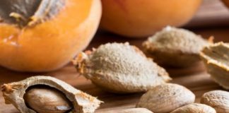 Kayısı çekirdeğinin mucizevi faydaları!