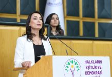 Hatimoğulları: DEM Parti zaten bir Türkiye partisi!