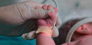 Yenidoğan çetesi soruşturmasında süreç nasıl gelşti?