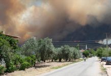 Orman yangınlarında son durum! Bakan Yumaklı açıkladı: 6 yangın devam ediyor