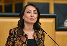 DEM Parti’den MHP’ye çağrı: Yaptırım gücünü kullanmalı